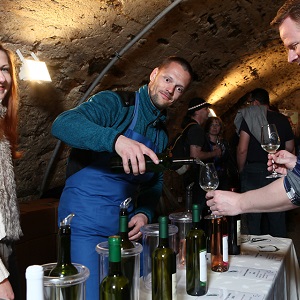 DMP (Modra Wine Cellars Day) 2015