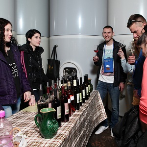 DMP (Tag der Weinkeller in Modra) 2015