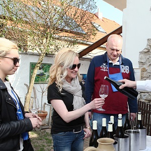 DMP (Tag der Weinkeller in Modra) 2015