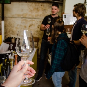 DMP (Modra Wine Cellars Day) 2018
