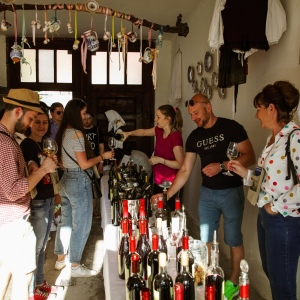 DMP (Modra Wine Cellars Day) 2022