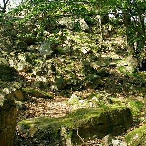 Yew Rocks